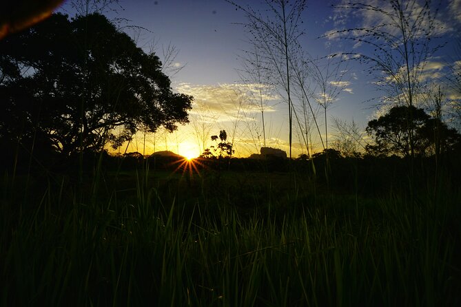 Organic Cooking Class Sigiriya TASTY TASKS - What to Expect in the Sigiriya Cooking Class