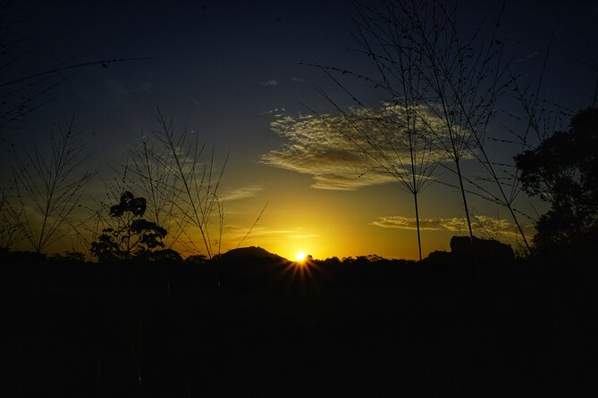 Organic Cooking Class Sigiriya TASTY TASKS - Why This Experience Is Worth It