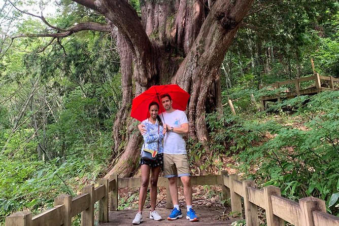 Takayama & Shirakawago 3 days tour - Practical Details and Tips