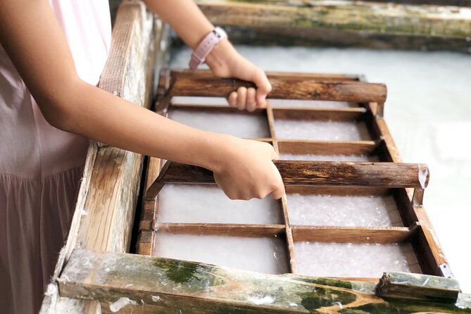 Takayama Explore Gokayama and Shirakawa go - Who should consider this tour?