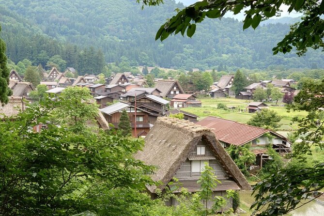 Private Tour From Takayama to Takayama and Shirakawago - A Deep Dive into the Tour Experience