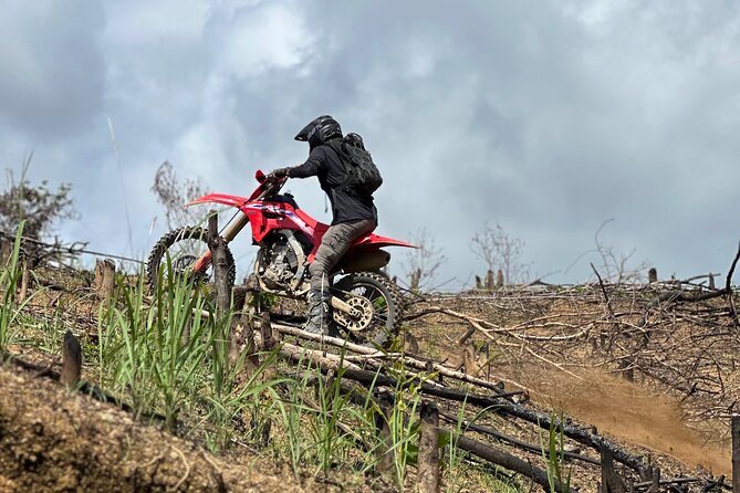 El Nido Scenic Highlight Tour Beginner Friendly - Key Points