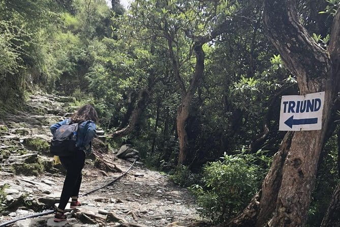 Triund Trek - The Itinerary: What You Can Expect