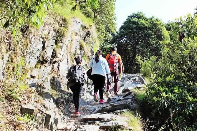 Hiking Day Tour to Triund from Dharamshala - Introduction: Exploring Triund — A Trek That Charms  