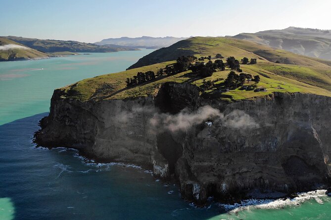 Lyttelton Shore Excursion - Guided Walking Tour and Picnic - An In-Depth Look at the Tour Experience