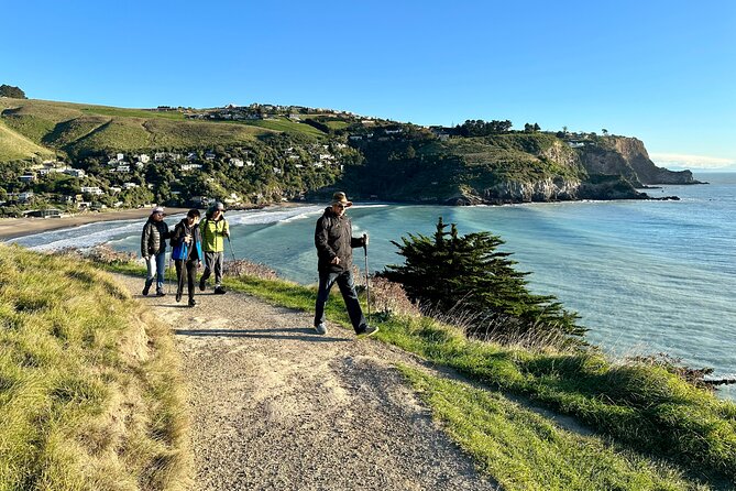 Lyttelton Shore Excursion - Guided Walking Tour and Picnic - Why This Tour Offers Great Value