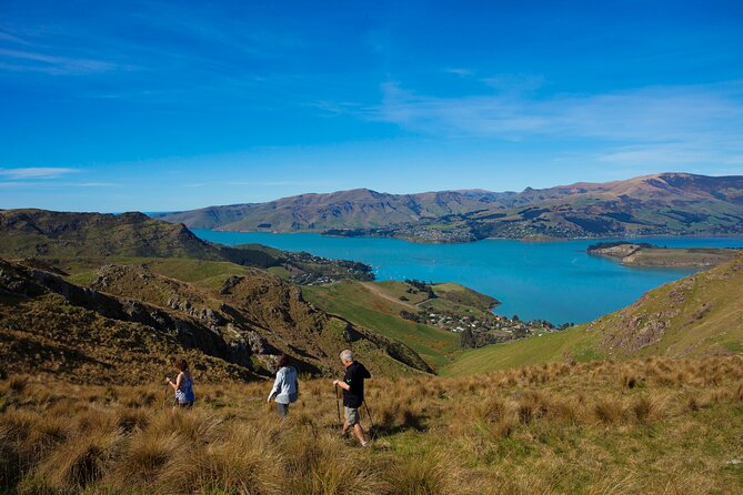 Lyttelton Shore Excursion - Guided Walking Tour and Picnic - Practical Details