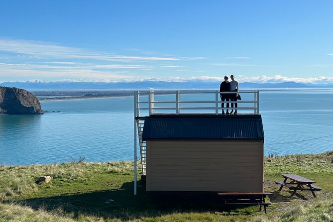 Lyttelton Shore Excursion - Guided Walking Tour and Picnic - Who Should Sign Up?