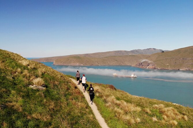 Lyttelton Shore Excursion - Guided Walking Tour and Picnic - Lyttelton Shore Excursion - Guided Walking Tour and Picnic: A Deep Dive