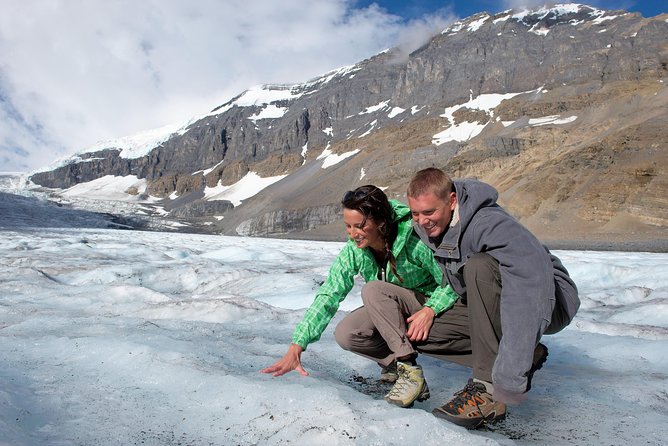 Lake Louise to Jasper One-Way Tour - An In-Depth Look at the Lake Louise to Jasper Tour