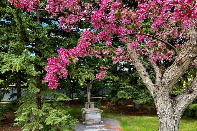 Nikka Yuko Admission (Adults & Children) - The Sum Up