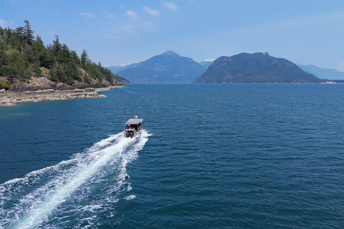 Vancouver: Snorkeling Seals Kayaking Scenic Boat Tour - Good To Know