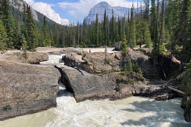 Takakkaw Falls Yoho National Park Bus Tour - Practical Tips for Your Trip