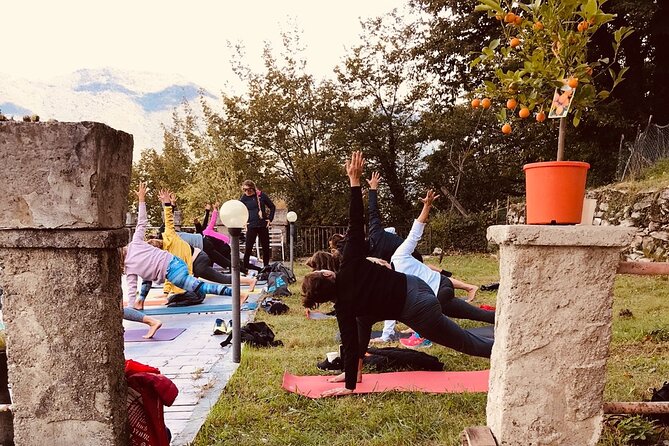 Hike in Blevios Forest for a Private Yoga Class - Key Points