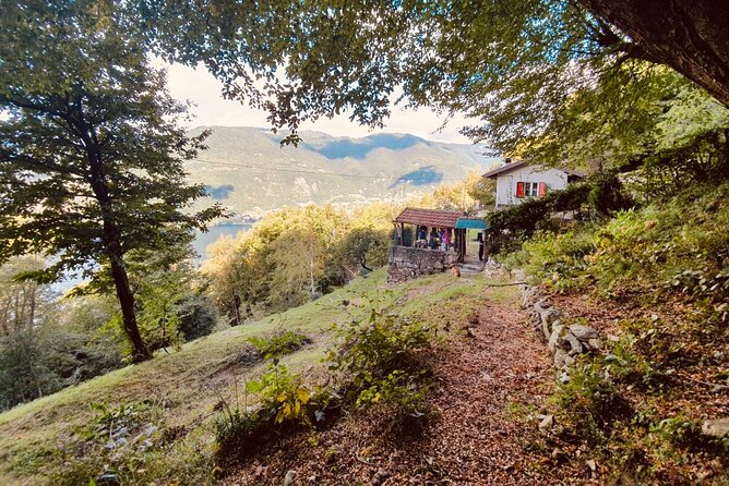 Hike in Blevios Forest for a Private Yoga Class - The Sum Up