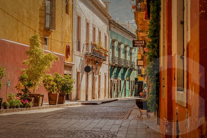 Private Guanajuato City One Day Extensive Tour From San Miguel - FAQ