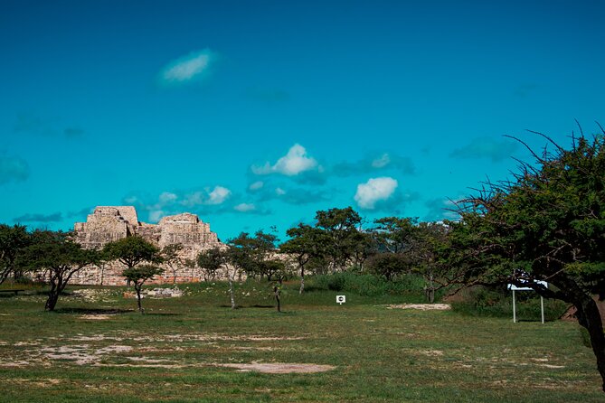 Half-Day Archeological Private Tour in San Miguel De Allende - Who Should Book This Tour?