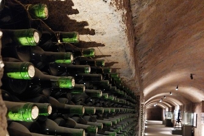 Quiero mas vino, valle de Guadalupe Tours - Good To Know