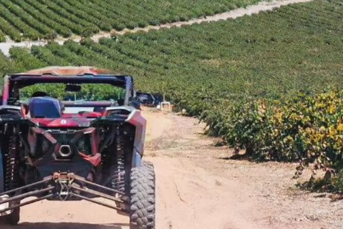 Razer Valley of Guadalupe Tour & Elena Restaurant & Bakus - FAQs