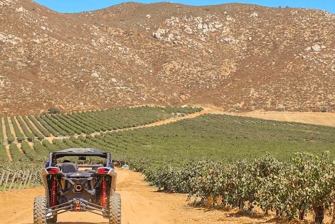 Razer Valley of Guadalupe Tour & Elena Restaurant & Bakus - Who Should Consider Other Options