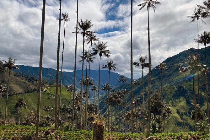 2 Day Private Tour at Salento Adventure and Cocora Valley - What Makes This Tour Stand Out?