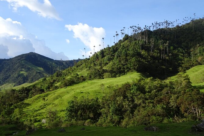 3 Days Private Tour Crossing the Andes Mountains - Who Will Love This Experience?