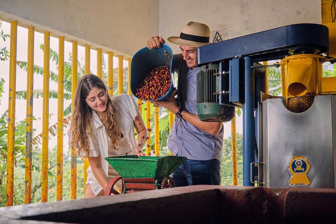 Height Coffee Tour - Key Points