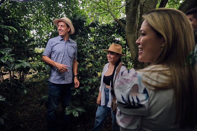 Height Coffee Tour - A Deep Dive into the Height Coffee Tour: What to Expect