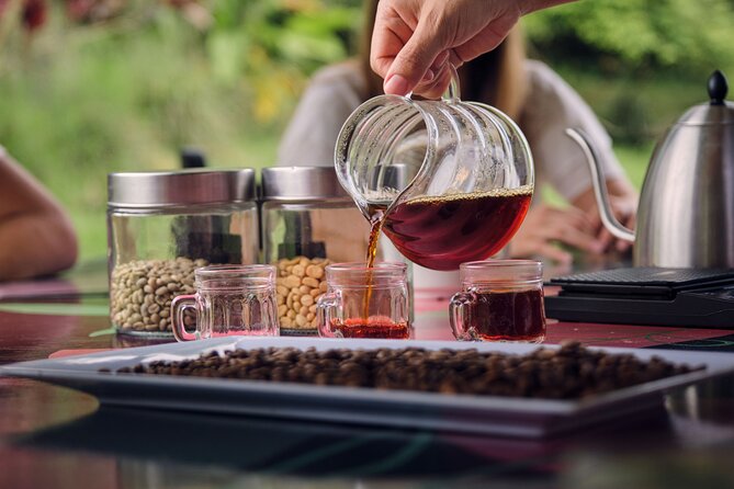 Height Coffee Tour - Practical Considerations