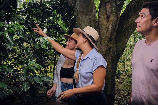 Height Coffee Tour - Final Thoughts