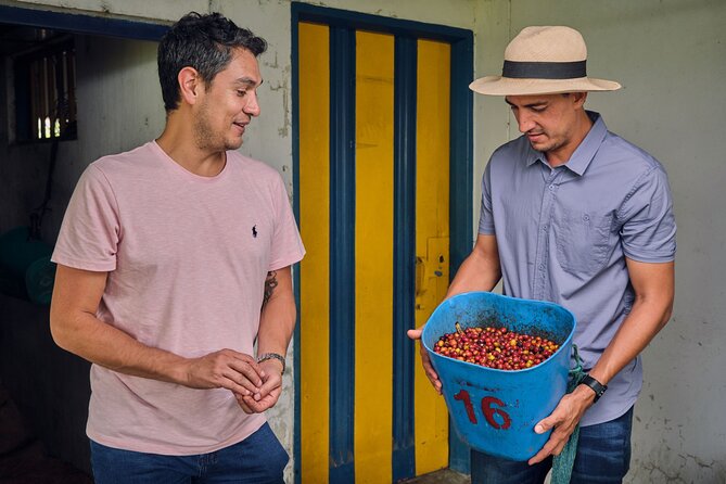 Height Coffee Tour - Who Should Consider This Tour?