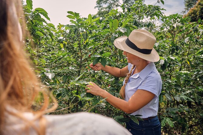 Height Coffee Tour - FAQ