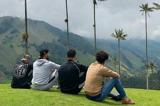 Tour in the Cocora Valley short - Key Points