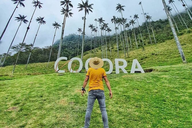 Tour in the Cocora Valley short - Quick Overview