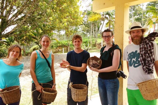 Immersive Coffee Farm Experience at Finca El Ocaso from Salento - The Real Value in the Details