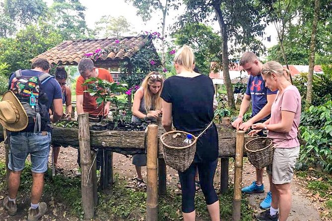 Immersive Coffee Farm Experience at Finca El Ocaso from Salento - An Authentic Coffee Experience in Colombia’s Coffee Triangle