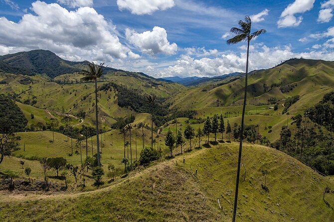 Cocora Valley and Salento Hike Tour - The Itinerary in Detail