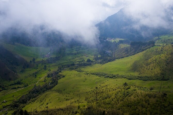 Cocora Valley and Salento Hike Tour - The Value of the Tour