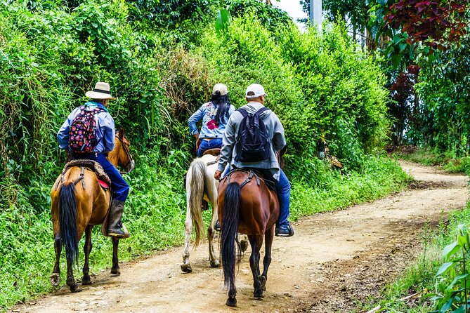 Cocora Valley and Salento Horseback Riding Day Tour - Authentic Experiences at a Reasonable Price