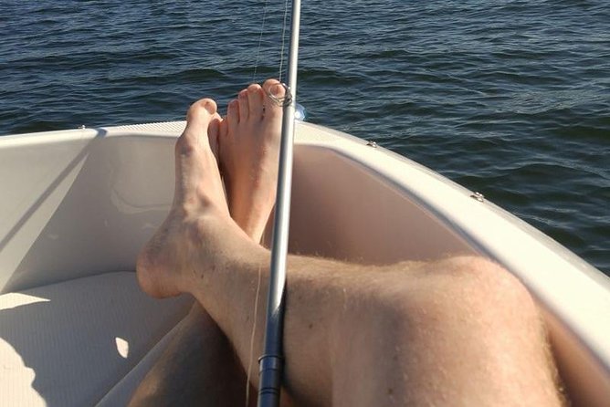 Meet The Seals Boat Tour - Travel by boat to a Secret Seal Cove - Frequently Asked Questions