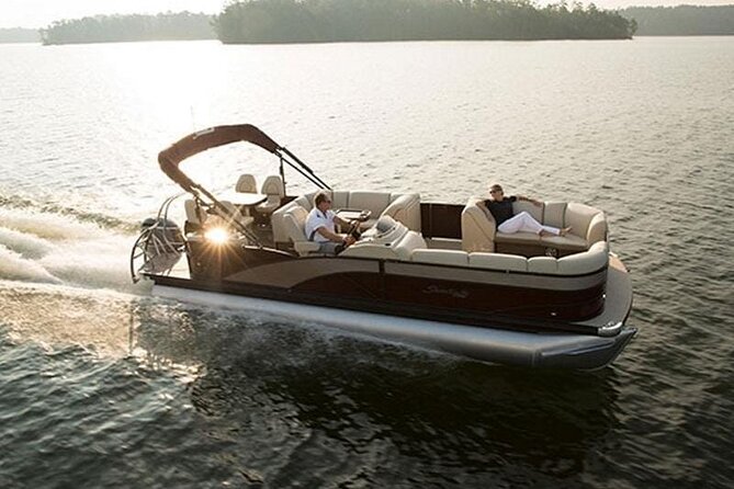 Meet The Seals Boat Tour - Travel by boat to a Secret Seal Cove - Final Thoughts