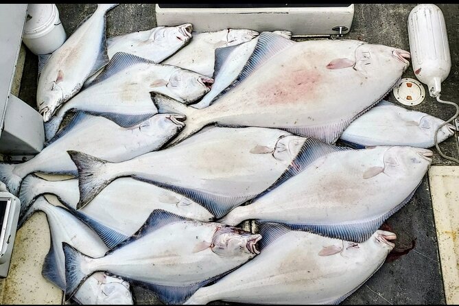 Shared Fishing Adventure in Icy Strait Hoonah Alaska - Final Thoughts: Is It Worth It?