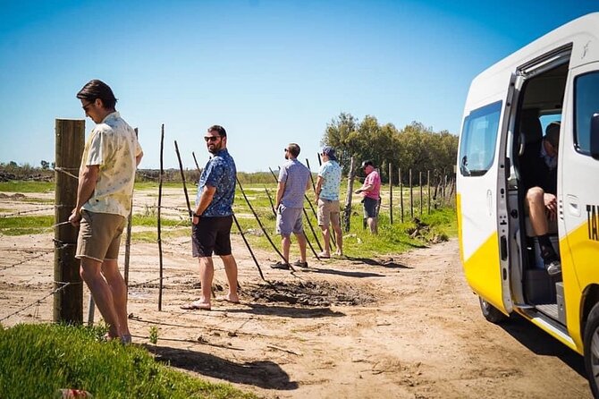 Transportation Suburban Weddings,Birthday/Valley of Guadalupe - Authentic Experiences and Real Traveler Insights