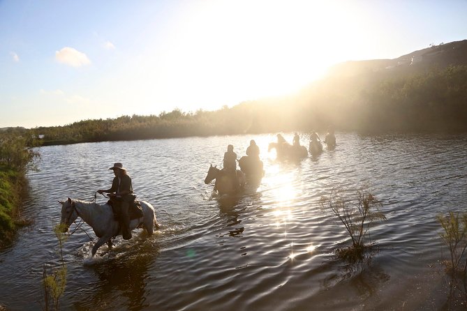 Authentic horseback riding in beautiful La Mision - The Guides and Horses: Experienced and Caring