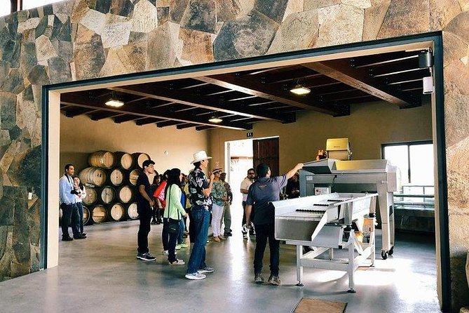 Tasting of 5 wines and tour at the winery Rondo del Valle - Frequently Asked Questions