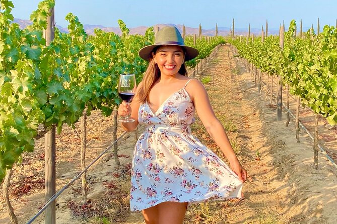 Private Wine Tour at Valle de Guadalupe (A wine tasting included). - Who Is This Tour Best For?