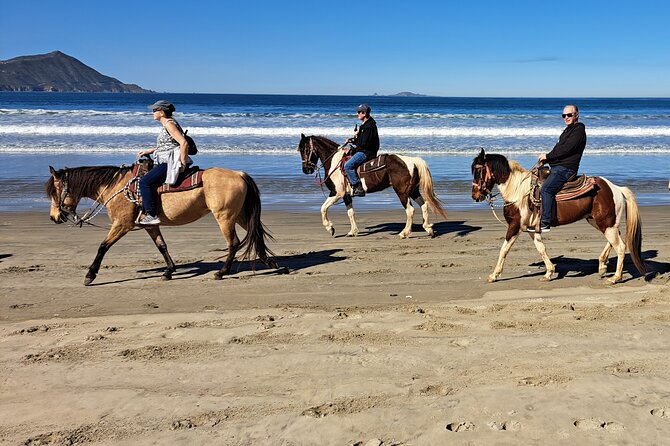 Horseback Riding on the Beach from Ensenada - The Value Proposition