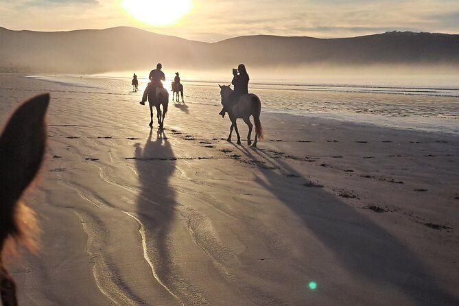 Horseback Riding on the Beach from Ensenada - Authentic Reviews and What They Reveal