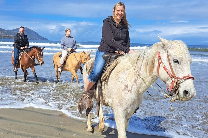 Horseback Riding on the Beach from Ensenada - Ensenada’s Beachfront and Desert Trails: A Horseback Adventure You’ll Remember