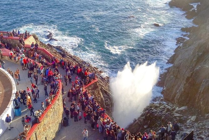 Ensenada Zipline and Blowhole Tour - What’s Included and What’s Not